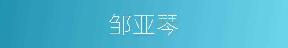 邹亚琴的同义词