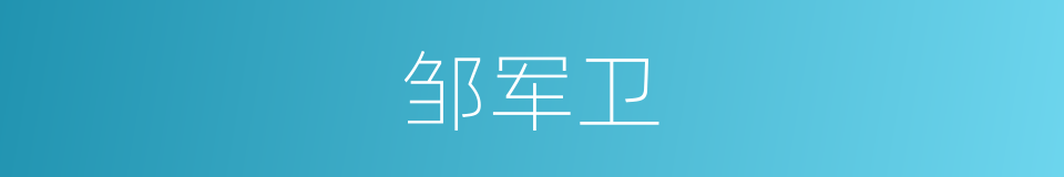 邹军卫的同义词