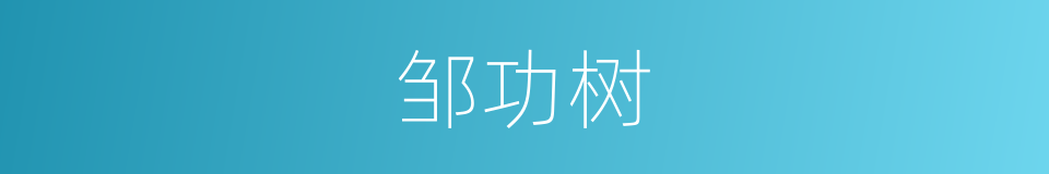 邹功树的同义词