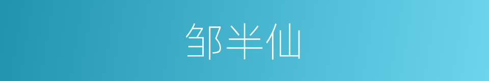 邹半仙的同义词