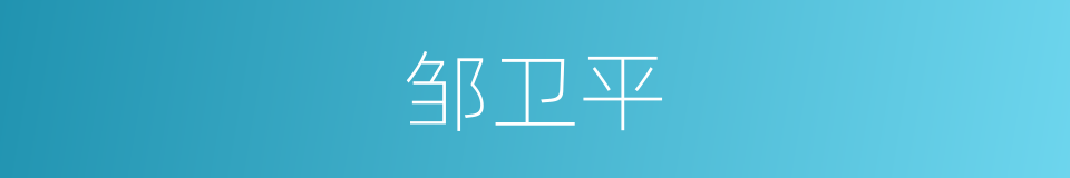 邹卫平的同义词
