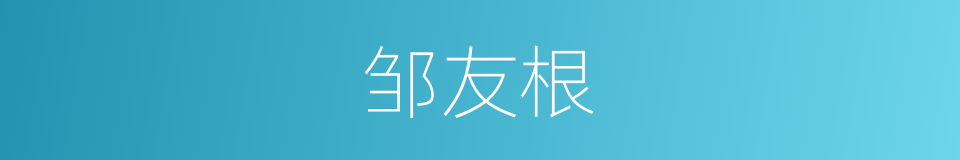 邹友根的同义词