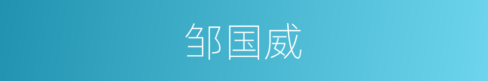 邹国威的同义词