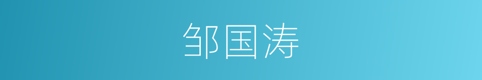 邹国涛的同义词