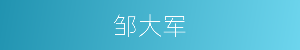 邹大军的同义词
