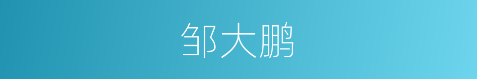 邹大鹏的同义词