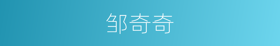 邹奇奇的同义词