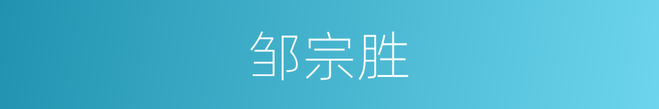 邹宗胜的同义词