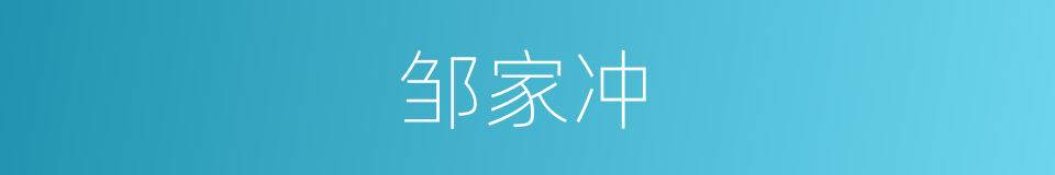 邹家冲的同义词