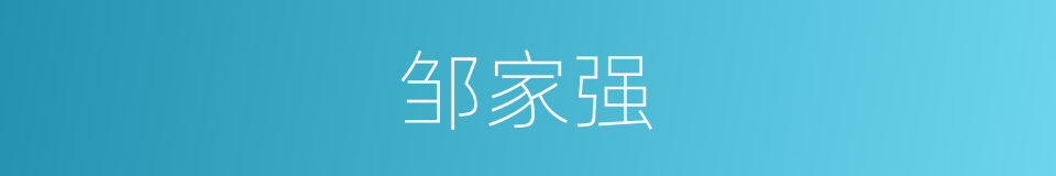 邹家强的同义词