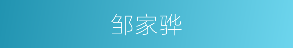 邹家骅的同义词