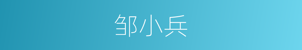 邹小兵的同义词