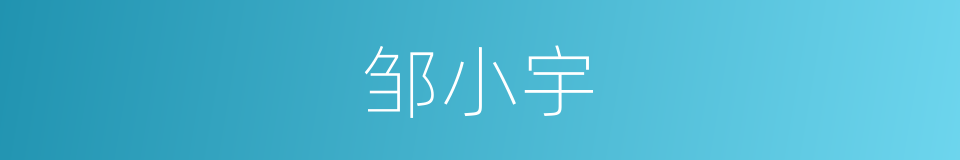 邹小宇的同义词