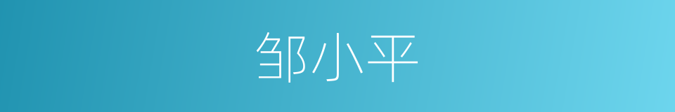 邹小平的同义词