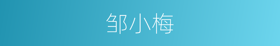 邹小梅的同义词