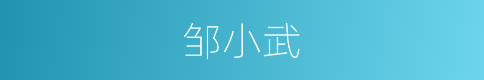 邹小武的同义词