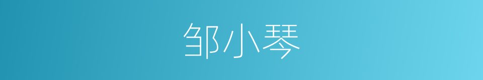 邹小琴的同义词
