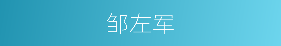 邹左军的同义词