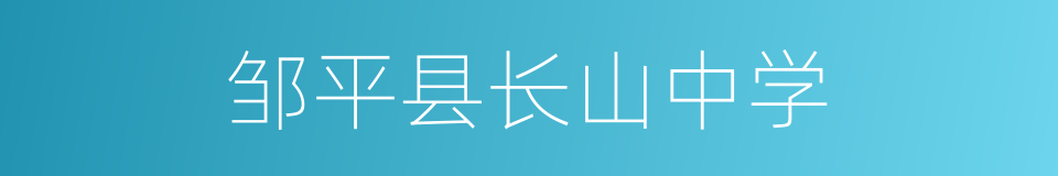 邹平县长山中学的同义词