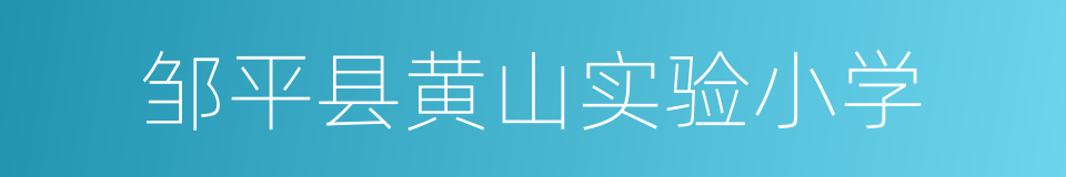 邹平县黄山实验小学的同义词