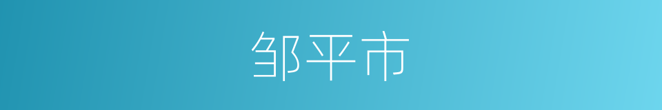 邹平市的同义词