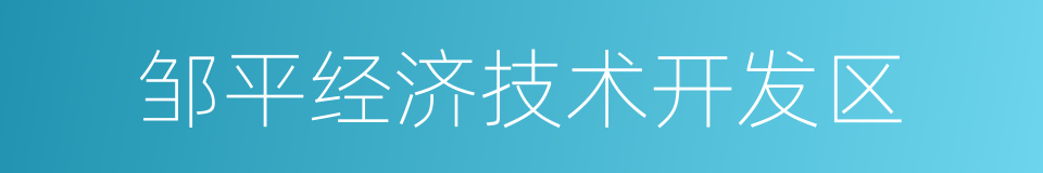 邹平经济技术开发区的同义词