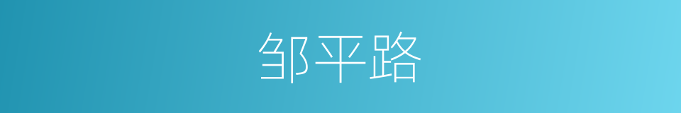 邹平路的同义词