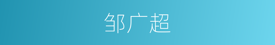 邹广超的同义词