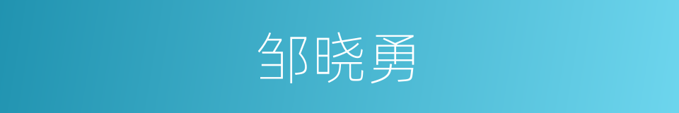 邹晓勇的同义词