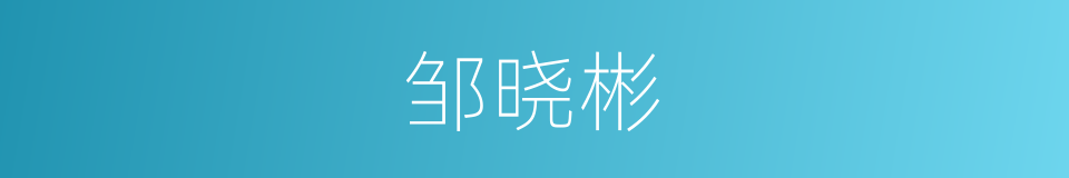 邹晓彬的同义词