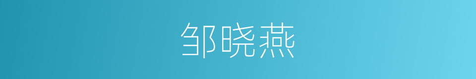 邹晓燕的同义词