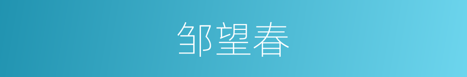 邹望春的同义词