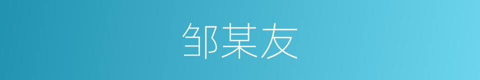 邹某友的同义词