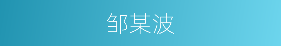 邹某波的同义词