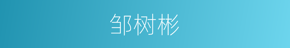 邹树彬的同义词