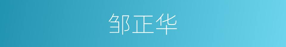 邹正华的同义词