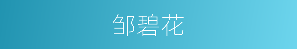 邹碧花的同义词