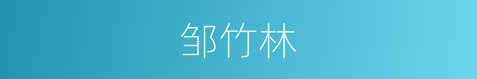 邹竹林的同义词