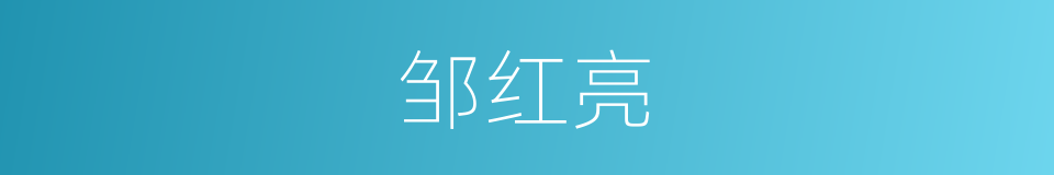 邹红亮的同义词