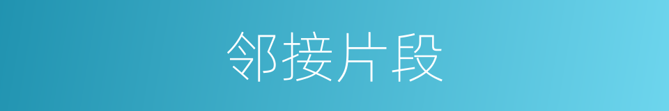 邻接片段的同义词