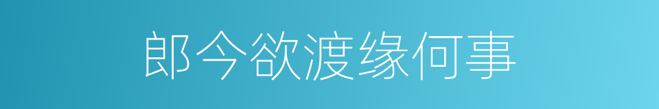 郎今欲渡缘何事的同义词
