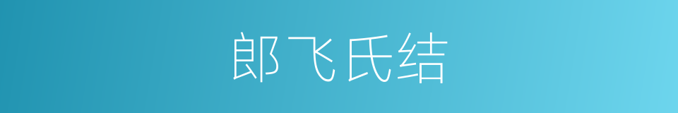 郎飞氏结的同义词