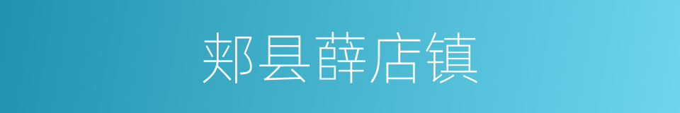 郏县薛店镇的同义词