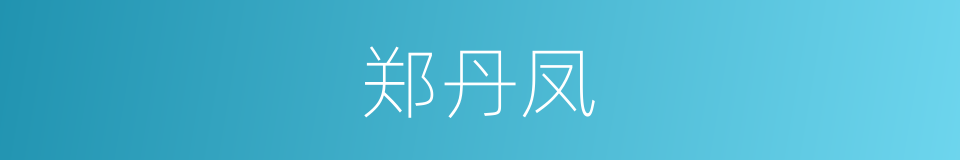 郑丹凤的同义词