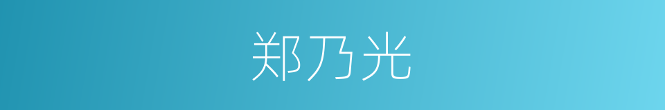 郑乃光的同义词