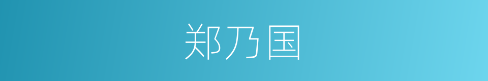 郑乃国的同义词