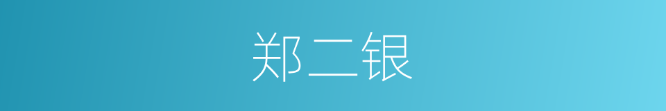 郑二银的同义词
