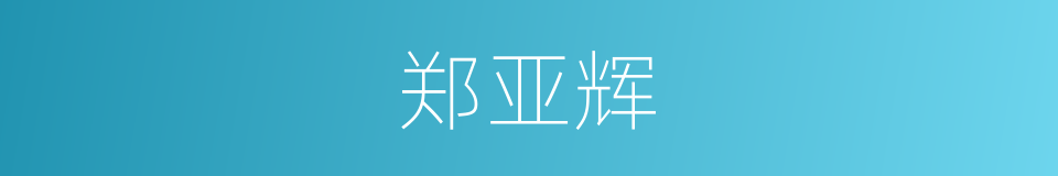 郑亚辉的同义词