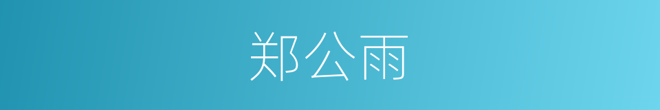 郑公雨的同义词