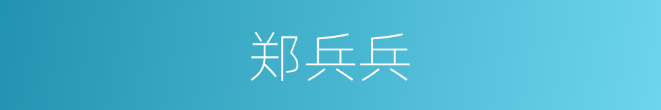 郑兵兵的同义词